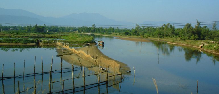 Strategies for sustainable shrimp aquaculture in Vietnam: The example of integrated shrimp-mangrove farming and organic certification